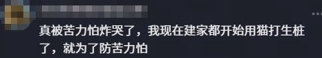 游侠网20
